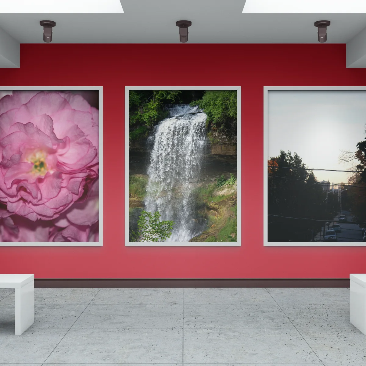 Photo Prints